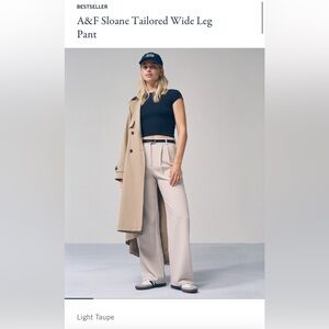 Abercrombie & Fitch Light Taupe Wide Leg Pants